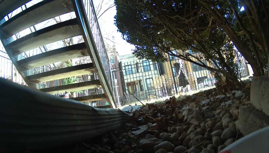 Reolink Camera Two_01_Reolink Home Hub One_20250117120354.jpg